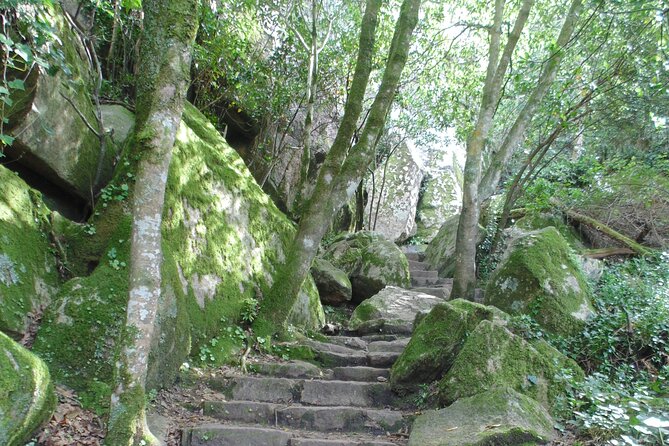 Private Day Tour from the Centre to the Highest Point in Sintra. - Pena Park and the High Cross, where the day’s big viewpoints happen
