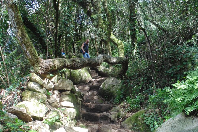 Private Day Tour from the Centre to the Highest Point in Sintra. - Pace, elevation, and who this tour is for