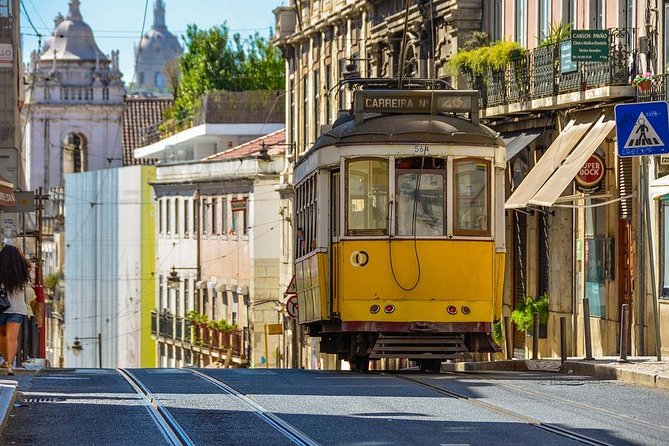 Private day Tour of Lisbon - Avenida da Liberdade and Parque Eduardo VII: city views with a scenic break