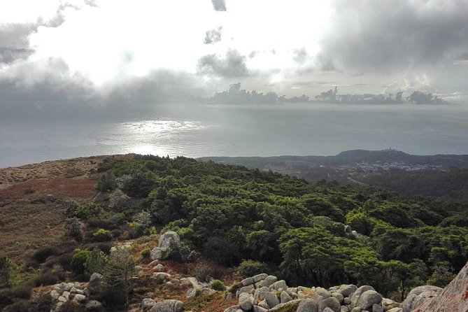 Private Evening Walk Inside the Forest: "Sintra Mountains Inbetween Wolves" - Why an evening forest walk works so well in Sintra