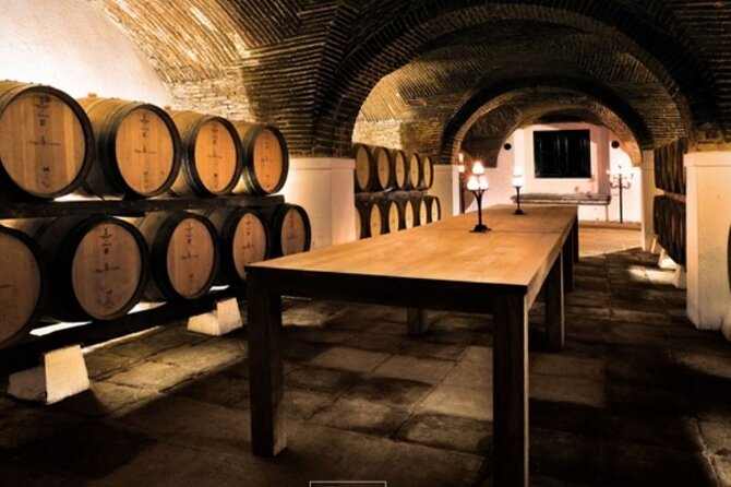 Private Evora Heritage and Alentejo Wine Tour from Lisbon - A Full-Day Private Route From Lisbon to Évora and Alentejo