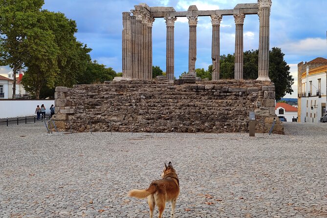 Private Évora Tour - Megaliths, Historical Center and Cork Region - How the timing works across 6 to 8 hours