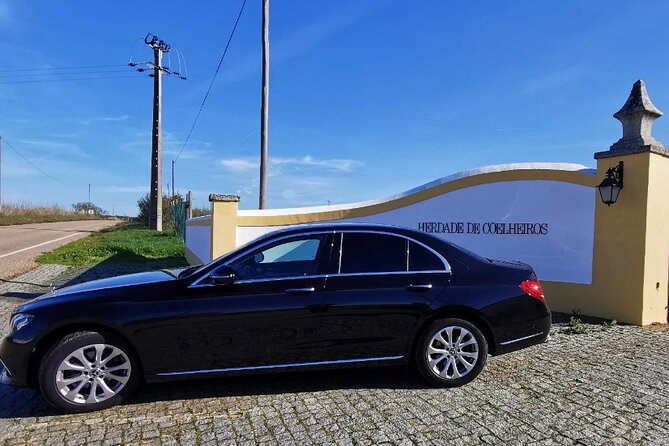 Private Évora Tour With Wine Experience and Wine Tasting - Private Means Flexible, Not Always Deep Commentary