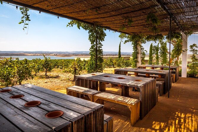 Private Full-Day Alentejo Wine Tour - Lisbon to the Alentejo, built around wine stops and good pacing