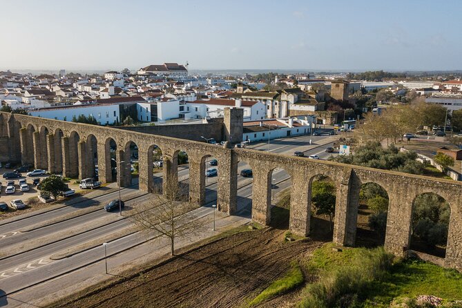 Private Full-Day Historical Tour of Medieval Évora - Key highlights at a glance