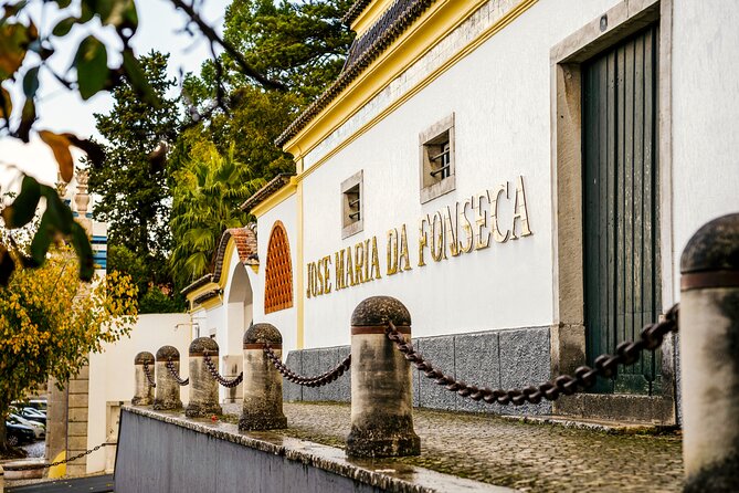 Private Full Day Tour Arrabida, Palmela, Azeitão and Sesimbra - The big picture: a full day that mixes coast, cliffs, and wine