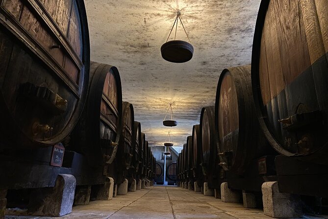 Private Full-Day Wine Tour from Lisbon with Tastings - Arrabida Natural Park: A Short Stop With a Scenic Payoff