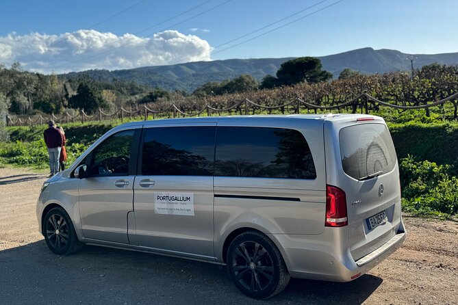 Private Full-Day Wine Tour from Lisbon with Tastings - Jose Maria de Fonseca: A Family-Run Classic Since 1834