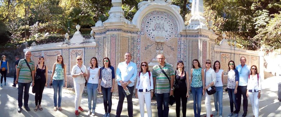 Private Half Day tour Sintra Pena Palace & Initiantion Well - Key points to know before you go