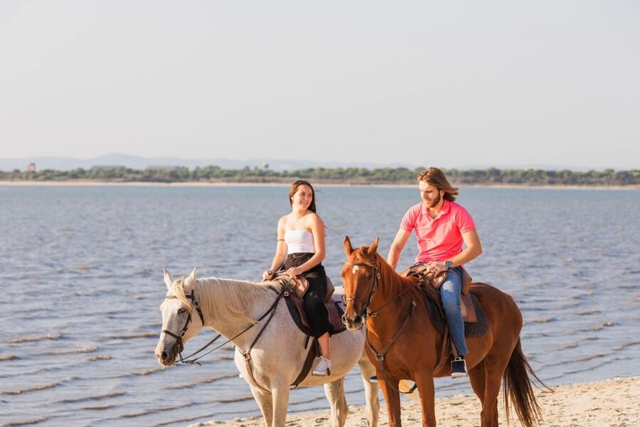 PRIVATE Horseback Riding On The Beach - Arena briefing first: where control and confidence begin