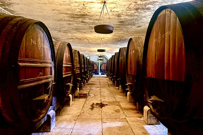 Private Lisbon-Arrábida Wine Tour: 3 Wineries, Coast & Heritage - Why Arrábida and Setúbal Feel Like a Real Day Trip