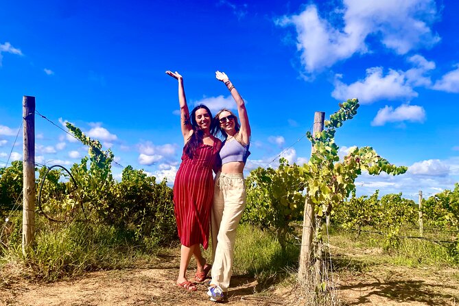Private Lisbon-Arrábida Wine Tour: 3 Wineries, Coast & Heritage - Pickup, timing, and how the schedule stays manageable