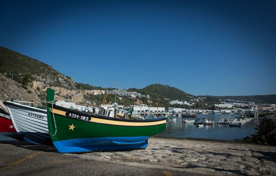 Private Lisbon Arrábida Wine Tour: Culture, Scenery & Wines - Portuguese pairings: what you actually eat with the wine