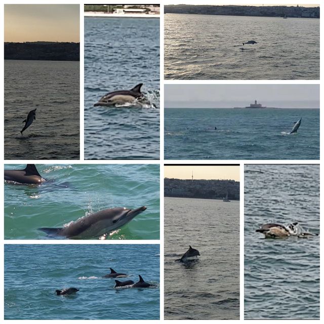 Private Lisbon Sightseeing Sailing Boat Tour with Locals - Alcântara and the route logic that keeps it easy