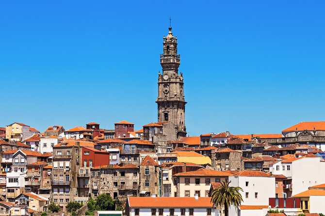 Private Luxury Transfer From Lisbon to Porto - Comfort details that matter more than you think