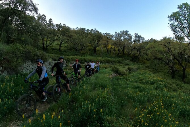 Private mountain bike tour in Lisbon/Sintra/Cascais - Colares meet-up and bike setup that actually fits you
