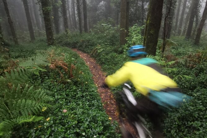 Private mountain bike tour in Lisbon/Sintra/Cascais - The descent: demanding trails when you are ready