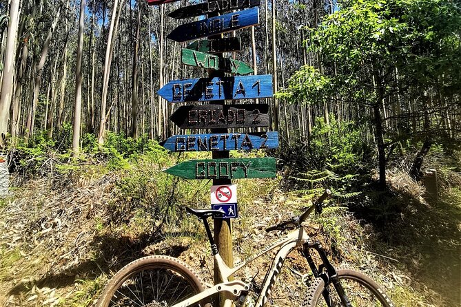 Private mountain bike tour in Lisbon/Sintra/Cascais - What you see and why it feels local