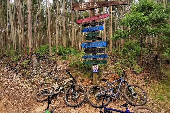 Private mountain bike tour in Lisbon/Sintra/Cascais - The warm-up: short games that make you safer on steep trail