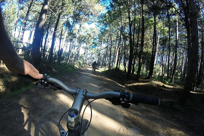 Private Mountain Biking Adventure in Sintra Cascais Park - Private tour upgrade: how personalization changes the experience