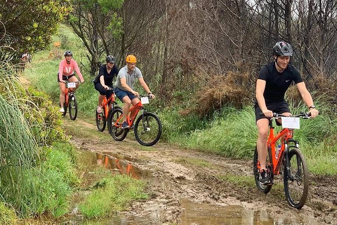 Private Mountain Biking Adventure in Sintra Cascais Park - Guides, gear, and the beginner-friendly details that reduce stress