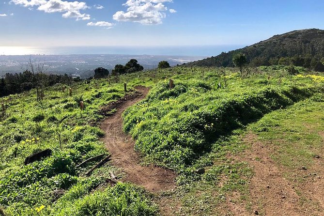 Private Mountain Biking Adventure in Sintra Cascais Park - The trails and photo moments you will actually want to remember