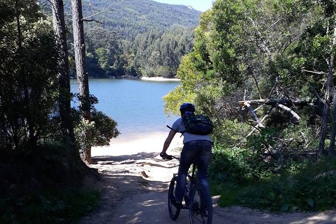 Private Mountain Biking Adventure in Sintra Cascais Park - Duration, pacing, and what a 2-hour tour really means
