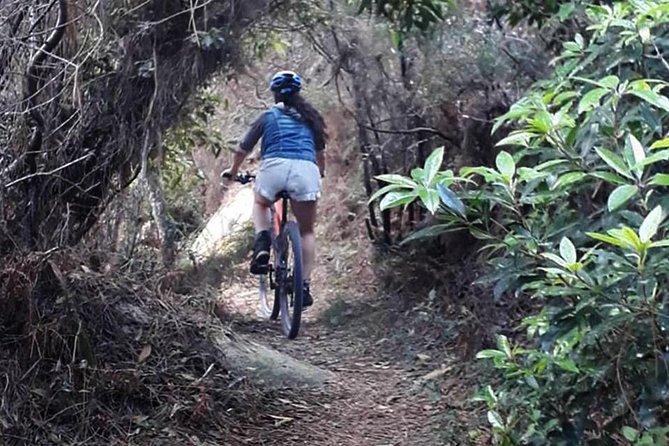 Private Mountain Biking Adventure in Sintra Cascais Park - Pairing your ride with Cascais cobblestones and seaside downtime