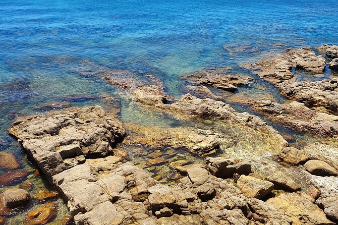 Private Open Top Coastal Tour with Coffee Included - Key Highlights You’ll Actually Care About