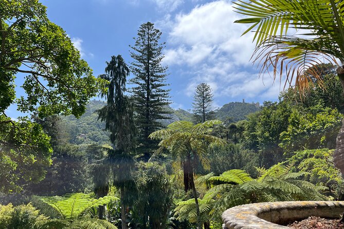 Private: Quinta da Regaleira & Sintra Historic Center Guided Tour - Who should book this tour, and who should skip it