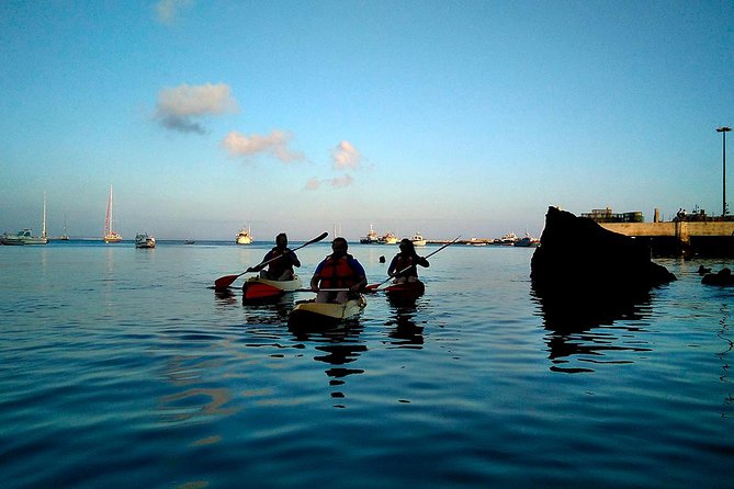 Private Sea Kayaking in Cascais, Lisbon - Your Kayak Setup: Sit-On-Top, Lifejacket, and Wetsuit Options