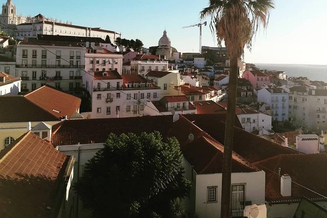 Private Tour 8 Hours Lisbon - Jerónimos Monastery, the church with ship-like columns