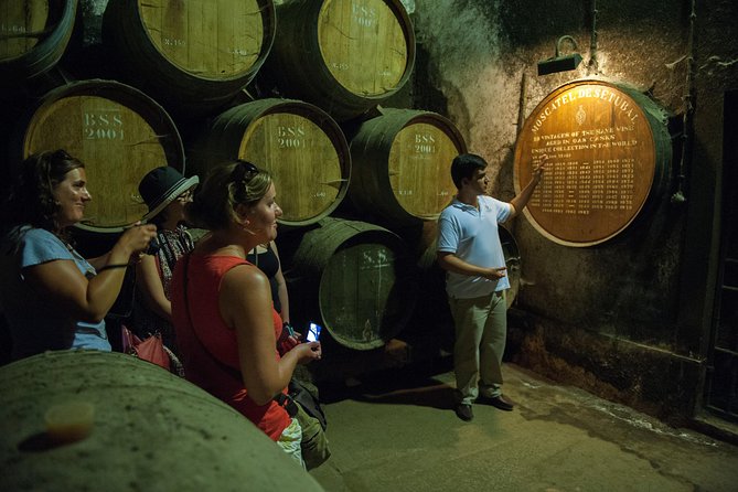 Private Tour: Arrábida Day Trip from Lisbon Including Wine Tasting - The 500-Meter Peak Stop: The Photo Moment You Will Actually Want