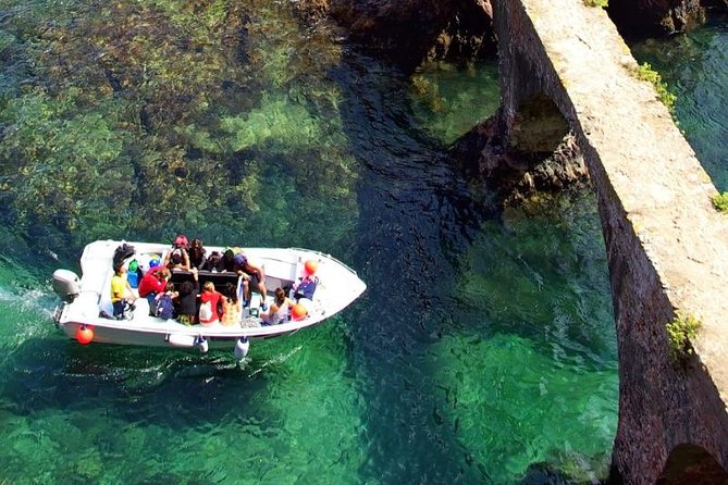 Private Tour: Berlenga Grande Island Day Trip from Lisbon - Price and logistics, is $239.65 per person worth it?