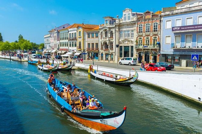Private Tour: Coimbra (World Heritage) & Aveiro (Little Venice) tour day trip from Lisbon with lunch - Lunch in Aveiro: Fresh Food, Good Views, and a Real Midday Reset