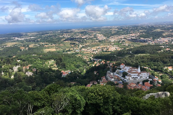 Private Tour: Discover the Magic of Sintra - Afternoon Tour - Pena Palace and Park: where the guide makes the difference