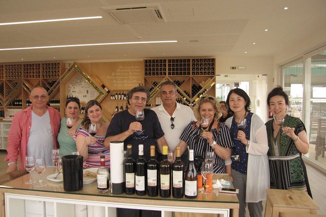 Private Tour Evora and optional Wine Tasting From Lisbon - Temple of Diana: Roman scale, Portuguese setting