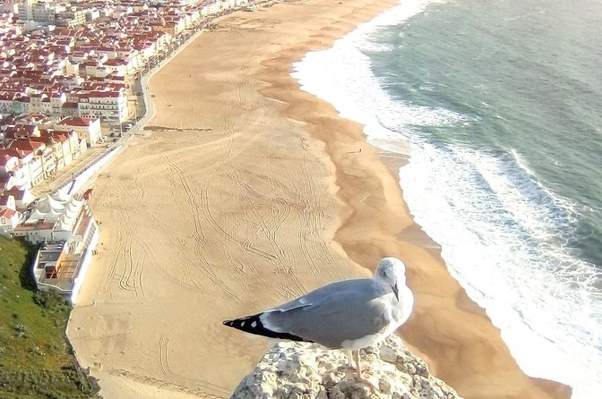 Private tour for 1 to 4 people: Fátima, Batalha, Nazaré and Óbidos - What you gain with a private format, beyond just convenience