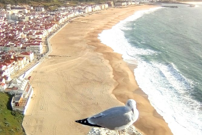 Private tour for 1 to 8 people: Fátima, Batalha, Nazaré and Óbidos - Nazaré viewpoint: quick Atlantic time and fresh air