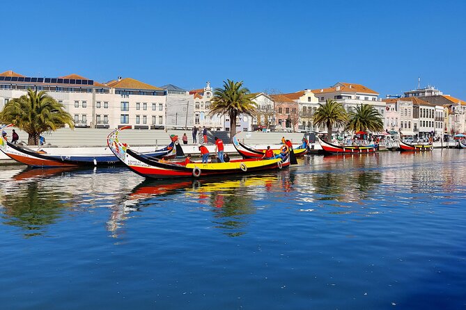 Private Tour from Lisboa to Aveiro and Porto - Price and What You Actually Get for $356.23