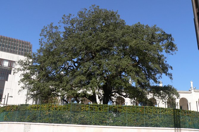 Private Tour From Lisbon: Fátima Sanctuary and Batalha Monastery - What to Look For Inside the Sanctuary Grounds