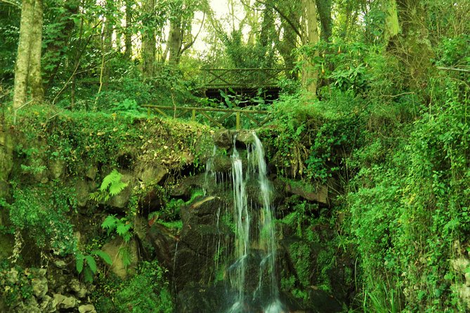 Private Tour From Lisbon: Sintra Mystic Trail in Five Hours - How to get the most out of your palace time (and what is not included)