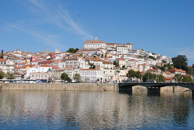 Private Tour: from Lisbon to Porto; visit to Óbidos, Fátima, Coimbra, Aveiro - Porto Drop-Off: From Guided Day to Your Next Move