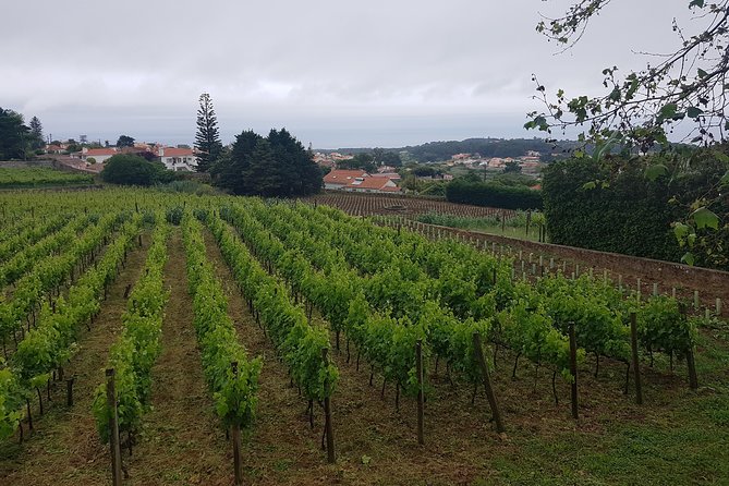 Private Tour from Lisbon to Sintra, Cabo da Roca, Cascais and Estoril - Sintra National Palace in 45 minutes, the royal core in a short visit