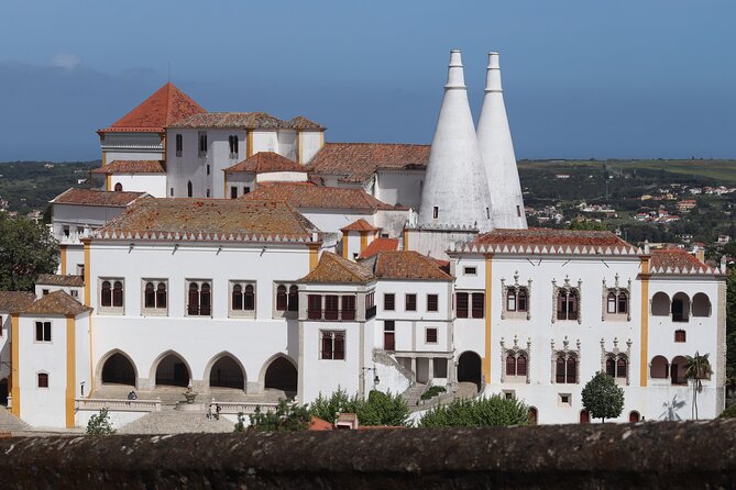 Private Tour in Sintra - Quinta da Regaleira in 1 hour: pacing is the whole point