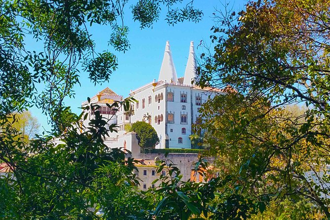Private tour Portugal 4 days from Lisbon - Day 1 in Lisbon: Oceanarium optional, Alfama lanes, then Belem classics