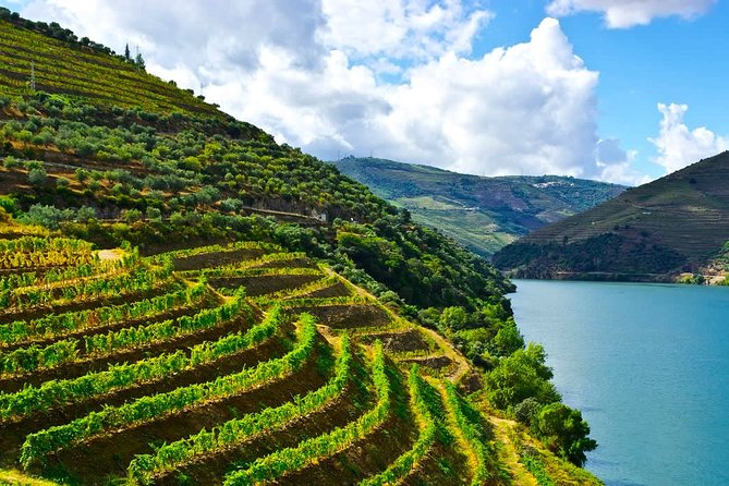Private tour Portugal 7 days from Lisbon - Day 3: Fátima and Coimbra, then Porto overnight
