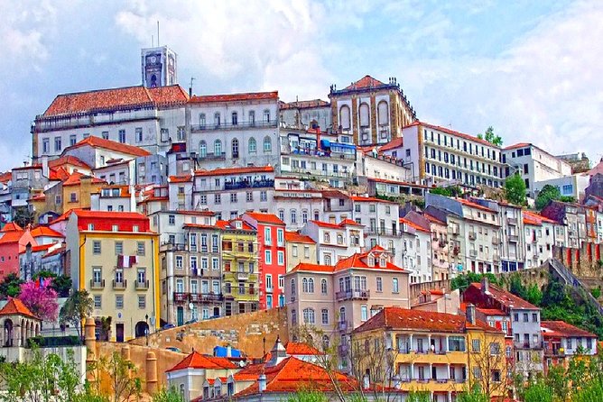 Private tour Portugal 7 days from Lisbon - Day 4 in Porto: viewpoints, bookstores, markets, and a rabelo boat