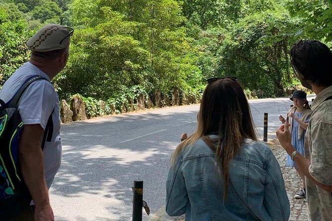 Private Tour Sintra Mountains and Coast Line - Why this 3-hour Sintra route feels efficient (and actually enjoyable)