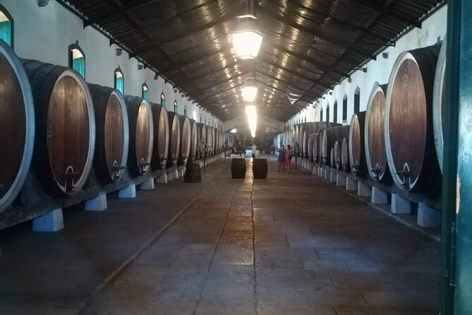 Private Tour Sintra With Wine Tastings - Historic Center of Sintra: UNESCO charm in about an hour